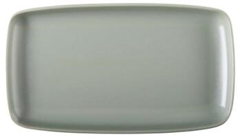 AI generated Top view of empty tray isolated on background. photo