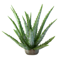 ai generiert 3d Rendern von ein Aloe vera im ein Topf auf transparent Hintergrund - - ai generiert png