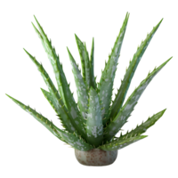 ai generato 3d interpretazione di un' aloe Vera nel un' pentola su trasparente sfondo - ai generato png