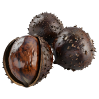 AI generated 3D Rendering of a Chestnuts on Transparent Background - Ai Generated png