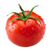 ai genererad 3d tolkning av en röd tomat på transparent bakgrund - ai genererad png