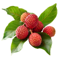 ai généré 3d le rendu de une litchi avec feuilles sur transparent Contexte - ai généré png