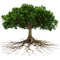 AI generated 3D Rendering of a Green Tree with Roots on Transparent Background - Ai Generated png