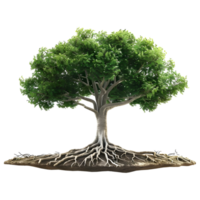 ai generato 3d interpretazione di un' verde albero con radici su trasparente sfondo - ai generato png