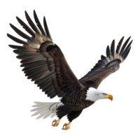 ai generado 3d representación de un americano águila en transparente antecedentes - ai generado png