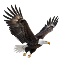 ai generado 3d representación de un americano águila en transparente antecedentes - ai generado png