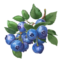 AI generated Sticker of a Blueberries With Leaves On a Transparent Background - Ai Generated png