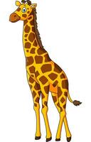 Cute giraffe cartoon on white background vector