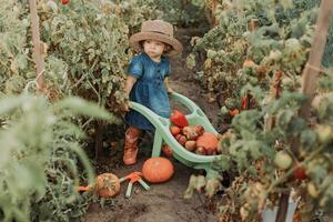 girl harvesting crop of vegetables and fruits and puts it in garden wheelbarrow. autumn concept photo