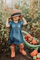 girl harvesting crop of vegetables and fruits and puts it in garden wheelbarrow. autumn concept photo