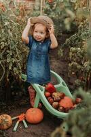 niña cosecha cosecha de vegetales y frutas y pone eso en jardín carretilla. otoño concepto foto