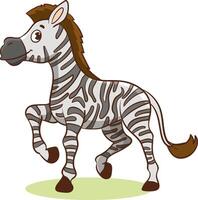 Vector illustration of a zebra on an isolated background, made in cartoon style