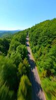 motocicleta equitação através a exuberante verde floresta dentro a montanhas. video