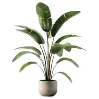 AI generated 3D Rendering of a Green Palm Tree in a Pot on Transparent Background - Ai Generated png