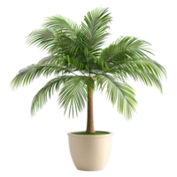 AI generated 3D Rendering of a Green Palm Tree in a Pot on Transparent Background - Ai Generated png