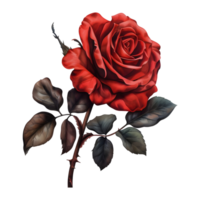 ai généré 3d le rendu de une rouge Rose fleur sur transparent Contexte - ai généré png