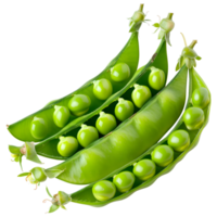 AI generated 3D Rendering of a Green Peas on Transparent Background - Ai Generated png