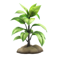 ai gerado 3d Renderização do uma verde plantar em transparente fundo - ai gerado png