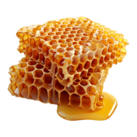 ai generiert 3d Rendern von ein Bienenwabe auf transparent Hintergrund - - ai generiert png