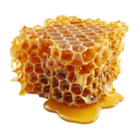 ai generiert 3d Rendern von ein Bienenwabe auf transparent Hintergrund - - ai generiert png