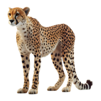 ai genererad 3d tolkning av en vild leopard på transparent bakgrund - ai genererad png