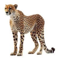 ai generato 3d interpretazione di un' selvaggio leopardo su trasparente sfondo - ai generato png