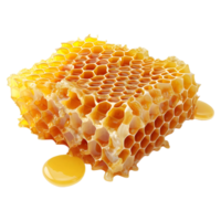 ai generiert 3d Rendern von ein Bienenwabe auf transparent Hintergrund - - ai generiert png