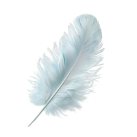 ai generado ganso pluma aislado en transparente antecedentes ,blanco pluma png ,generativo ai