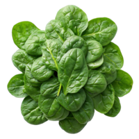 AI generated spinach isolated on transparent background ,green vegetable png ,generative ai