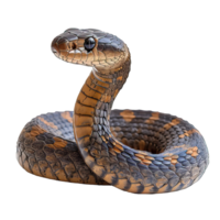 AI generated snake isolated on transparent background ,generative ai png