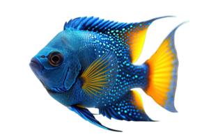 ai generado azul ornamental pescado aislado en transparente antecedentes ,generativo ai png