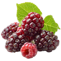 AI generated Mulberry isolated on transparent background ,berry fruit png ,generative ai