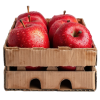 AI generated apples in a cardboard box isolated on transparent background ,red apple png ,generative ai