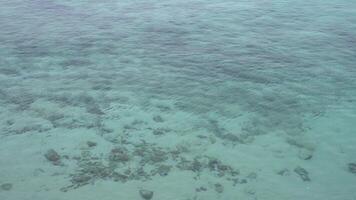 le mer l'eau est très clair à la recherche à le sable et pierre dessous. video