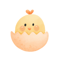 Cute little chick in cracked egg png