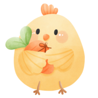 Cute chicken with carrot in watercolor png