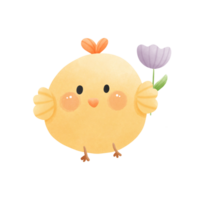 Cute little chicken and tulip png