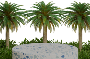 Circle marble podium with palm leaves png