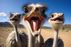 ai generado divertido avestruz selfie gracioso cabeza. generar ai foto