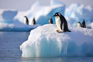 ai generado frío pingüino hielo calentamiento antecedentes. generar ai foto