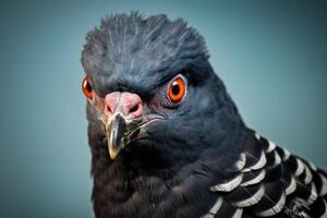 AI generated Adaptable Pigeon bird. Generate Ai photo