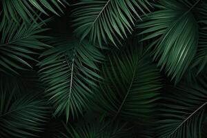 AI generated Broad Palm leaves tropical. Generate Ai photo