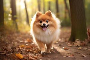 ai generado juguetón pomeranio perro enfriamiento apagado. generar ai foto