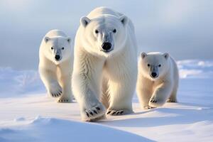 ai generado frígido polar osos nieve ártico caminando. generar ai foto