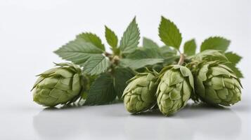 AI generated Beer Hops Isolated On White Background. AI Generated photo