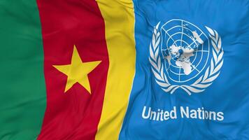 Cameroon and United Nations, UN Flags Together Seamless Looping Background, Looped Bump Texture Cloth Waving Slow Motion, 3D Rendering video