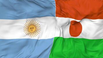 Argentina and Niger Flags Together Seamless Looping Background, Looped Bump Texture Cloth Waving Slow Motion, 3D Rendering video