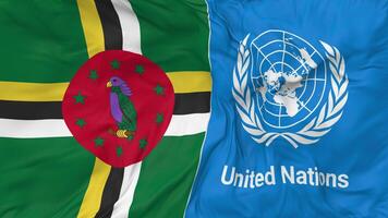 Dominica and United Nations, UN Flags Together Seamless Looping Background, Looped Bump Texture Cloth Waving Slow Motion, 3D Rendering video