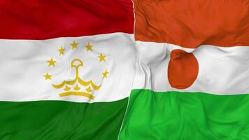 Tayikistán y Níger banderas juntos sin costura bucle fondo, serpenteado bache textura paño ondulación lento movimiento, 3d representación video