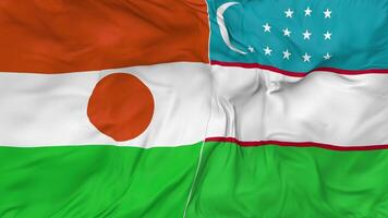 Uzbekistán y Níger banderas juntos sin costura bucle fondo, serpenteado bache textura paño ondulación lento movimiento, 3d representación video